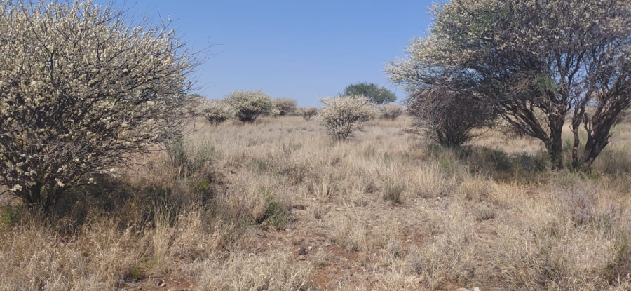 Commercial Property for Sale in Douglas Rural Northern Cape